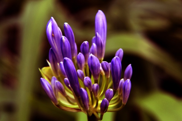 也是提升足 也是提升足