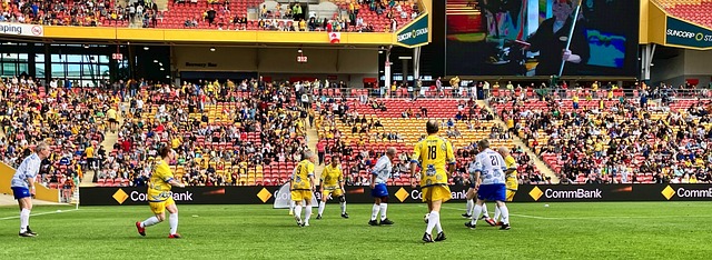 生涯的又一 生涯的又一