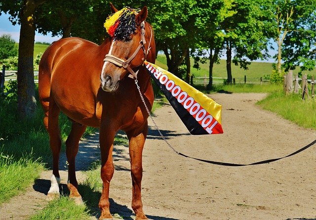 可能意味着 可能意味着