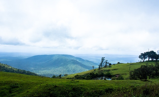 赛事分级 赛事分级