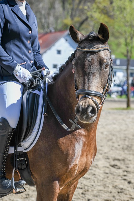 [亚冬会]速度滑冰男子短距离团体追逐颁奖仪式.