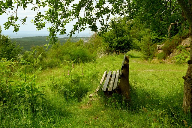 意甲第24輪克雷莫納2-1羅馬 薩朱破門喬法尼點球命中助克雷莫納賽季首勝！.
