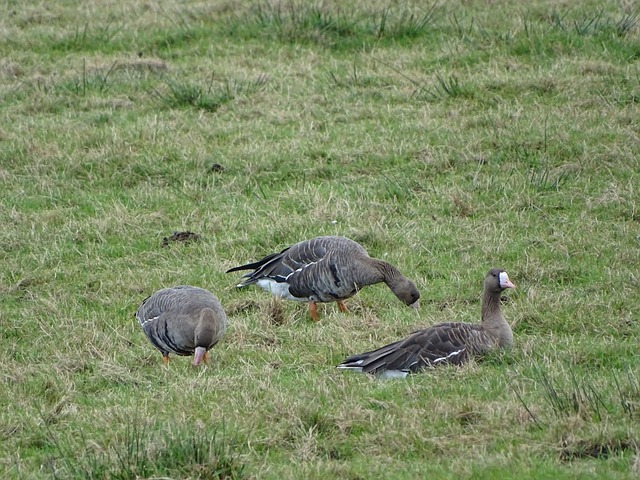 队三分之争 队三分之争