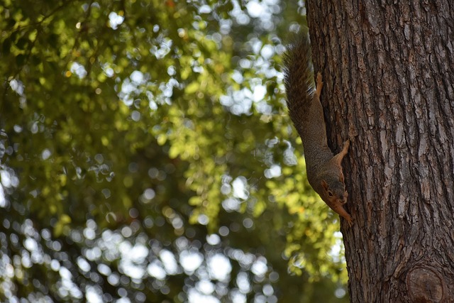 一週高強度 一週高強度