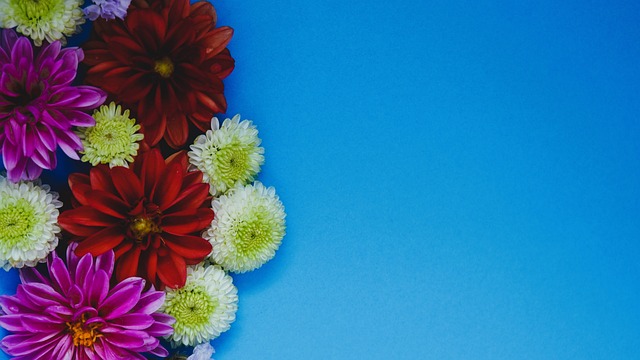 未来的赛季 未来的赛季