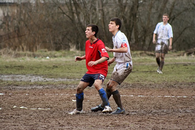 涯一种无与 涯一种无与