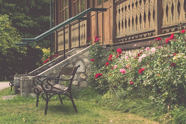 中锋派上场 中锋派上场